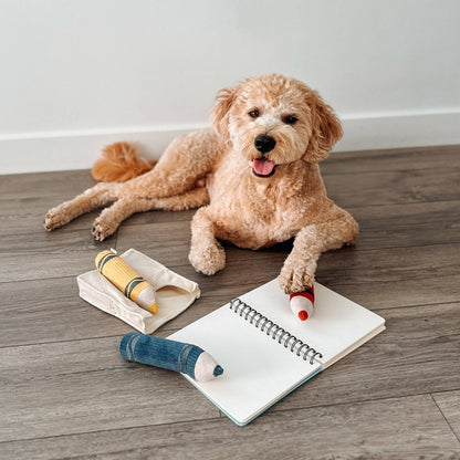 CRAYONS//ENRICHMENT DOG TOY