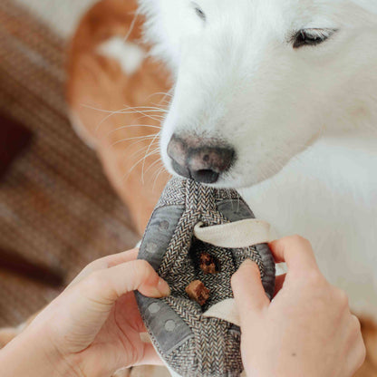 Lambwolf Collective CASSETTE // ENRICHMENT DOG TOY