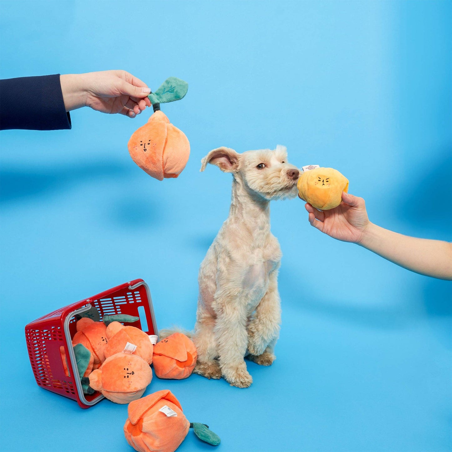 The Furryfolks ORANGE Nosework Toy