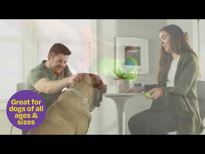 Brightkins Smarty Pooch!™ Training Clicker: Hot Dog